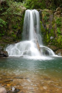 Waterfall Coromandel New Zealand